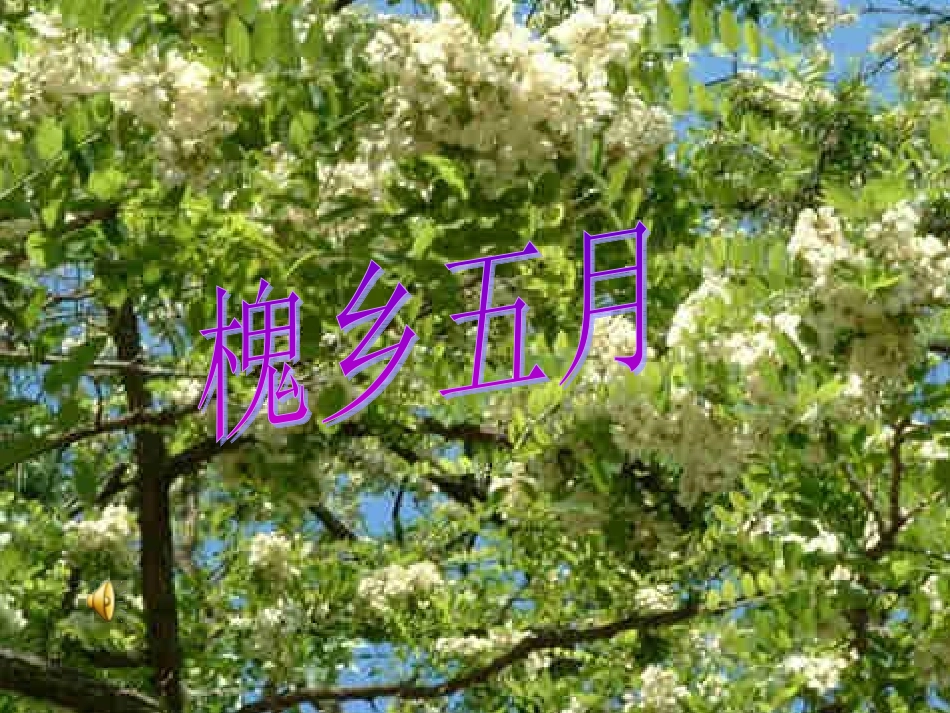 21-槐乡五月-_第1页