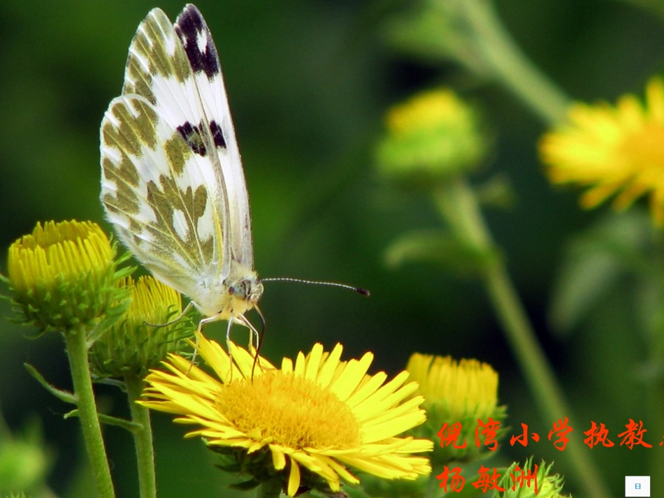 一年级语文上册课文(一)2《四季》课件_第1页