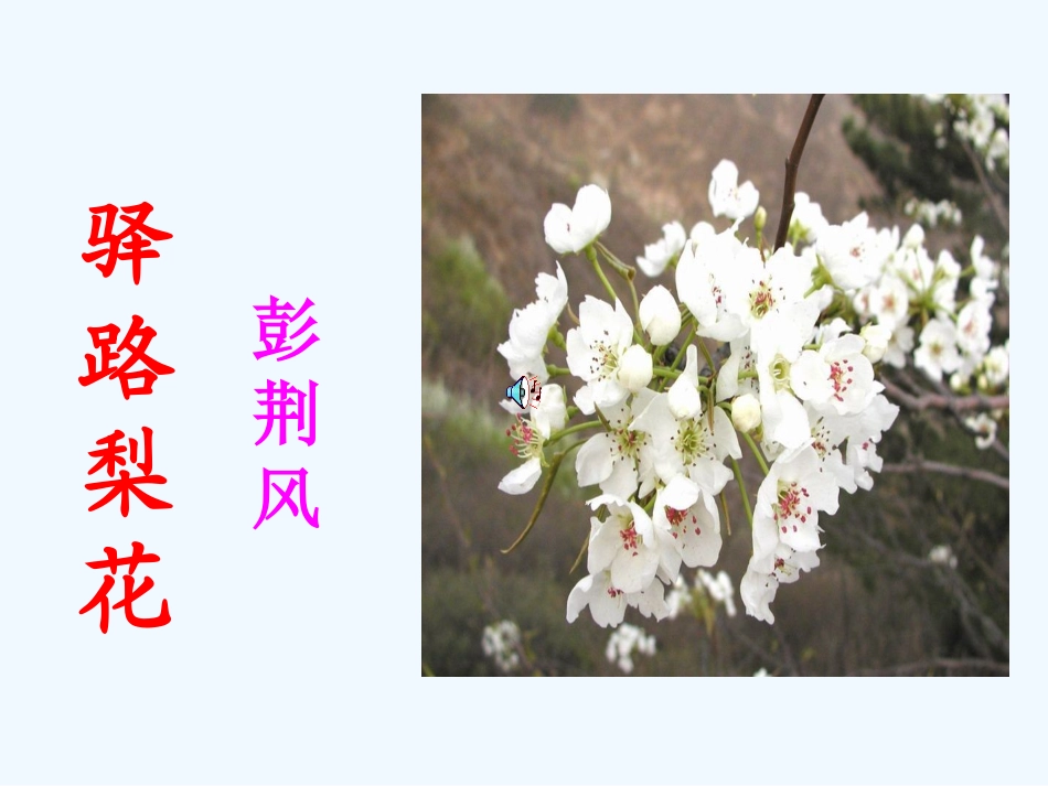 (部编)初中语文人教2011课标版七年级下册14驿路梨花_第1页