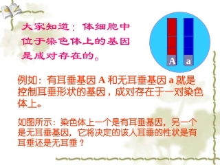 性状表现决定于基因组成