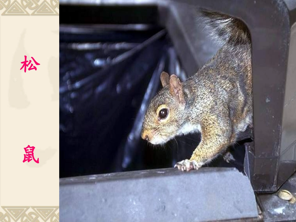 21.从现在开始_第1页