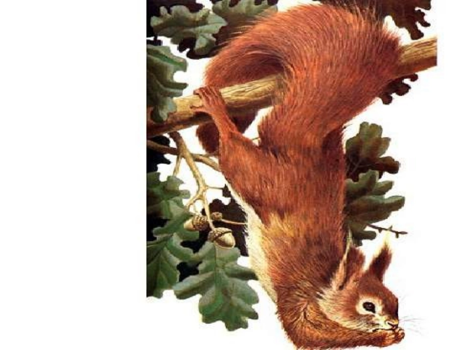 21.从现在开始_第2页