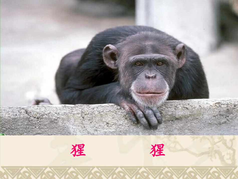 21.从现在开始_第3页