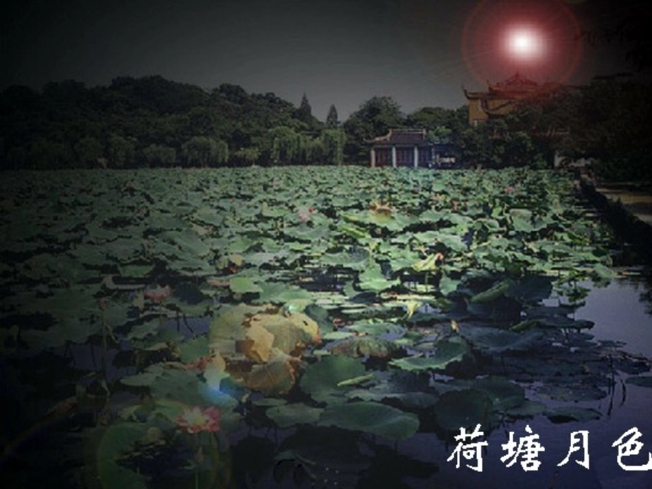 15夏夜多美1_第2页