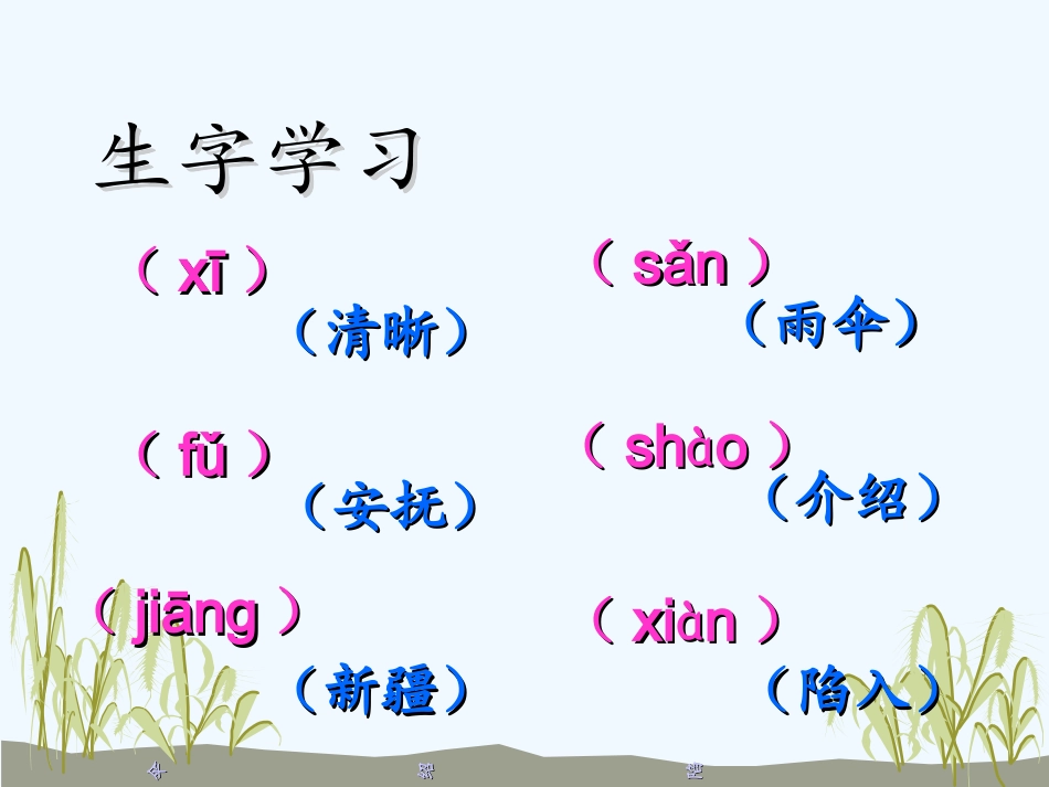 (部编)人教2011课标版一年级上册五下《白杨》第1课时课件_第3页