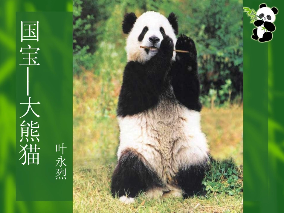 《国宝——大熊猫》课件_第3页