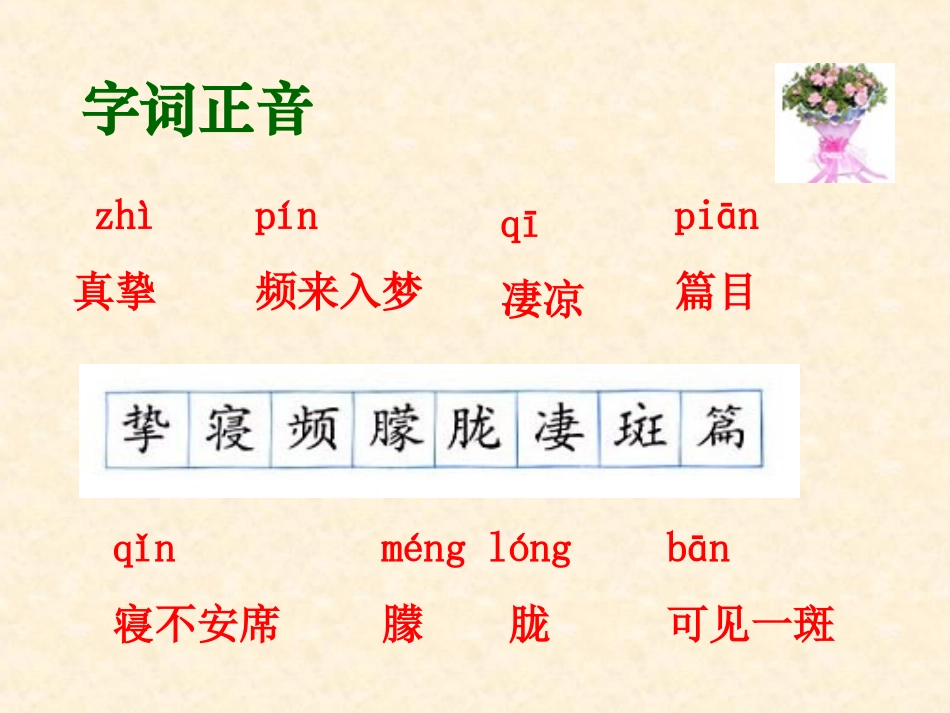 怀念母亲课件_第3页