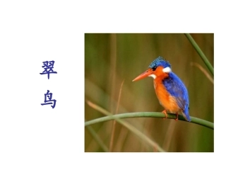 梅芳翠鸟第二课时