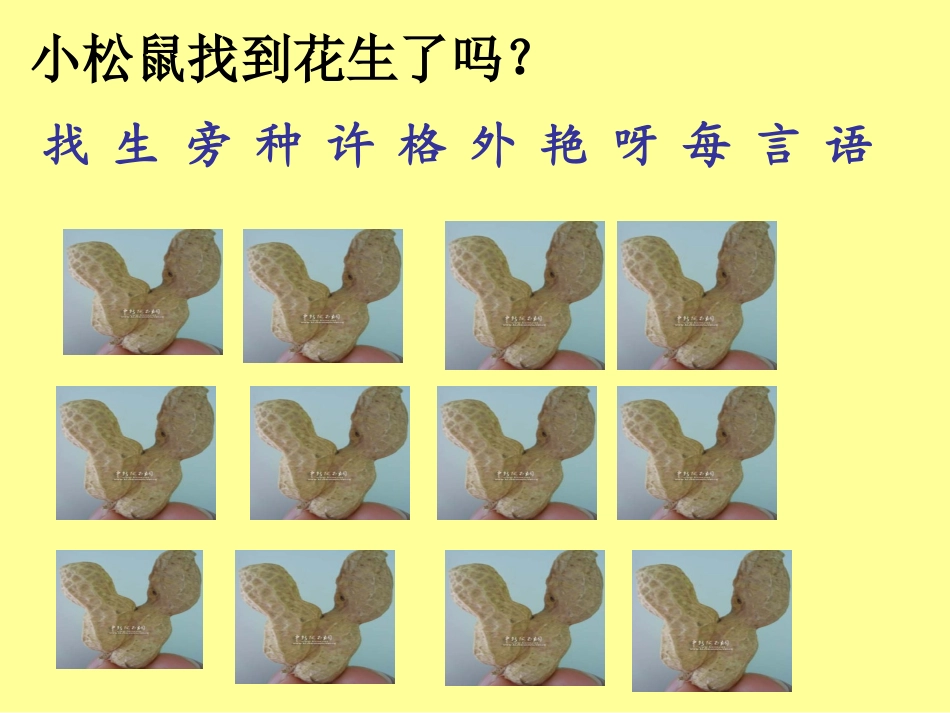 11416.小松鼠找花生_第3页