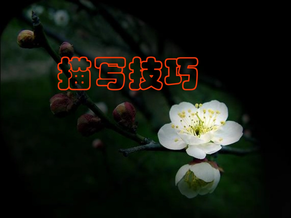 鉴赏诗歌技巧_第2页