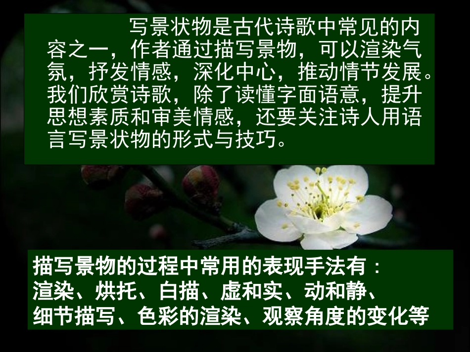 鉴赏诗歌技巧_第3页