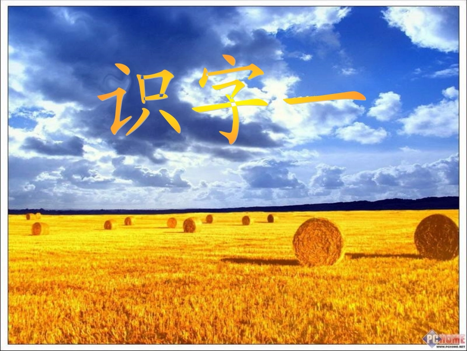 《识字1》课件6_第3页