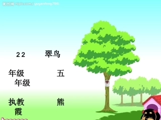 新《翠鸟》课件