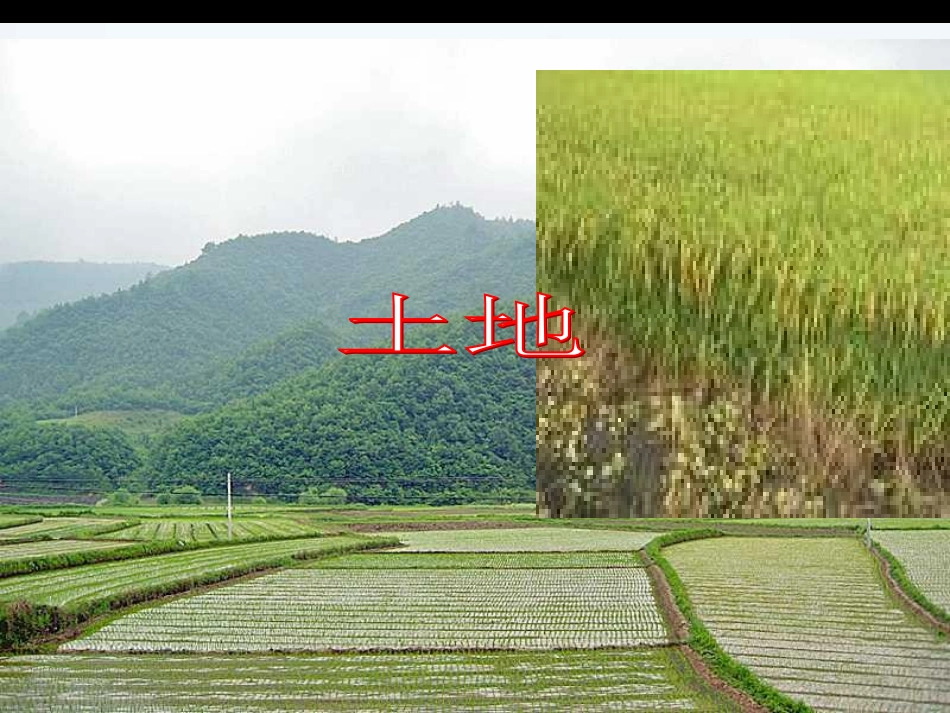 自然资源总量丰富人均不足课件_第3页