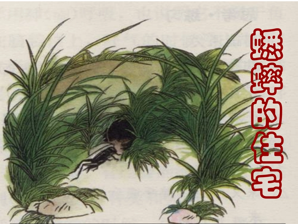 千教网-王丹《蟋蟀的住宅》课件ppt288067_第2页