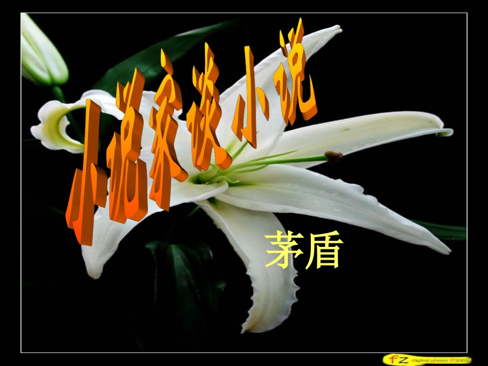 小说家谈小说_第1页