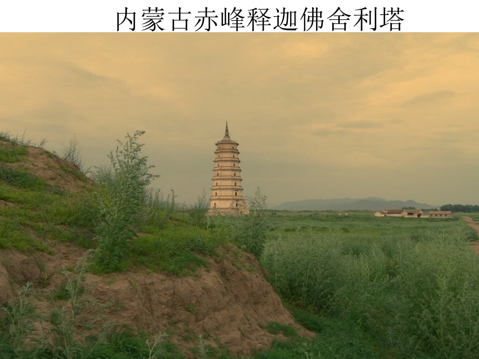 中国十大名塔1_第3页