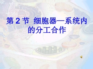 高一上学期生物_细胞器4