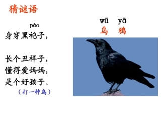 19乌鸦喝水第一、二、三课时