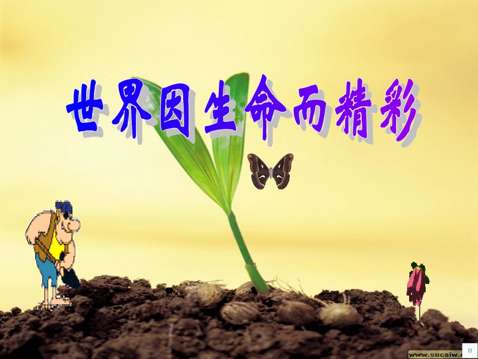 世界因生命而精彩_第2页