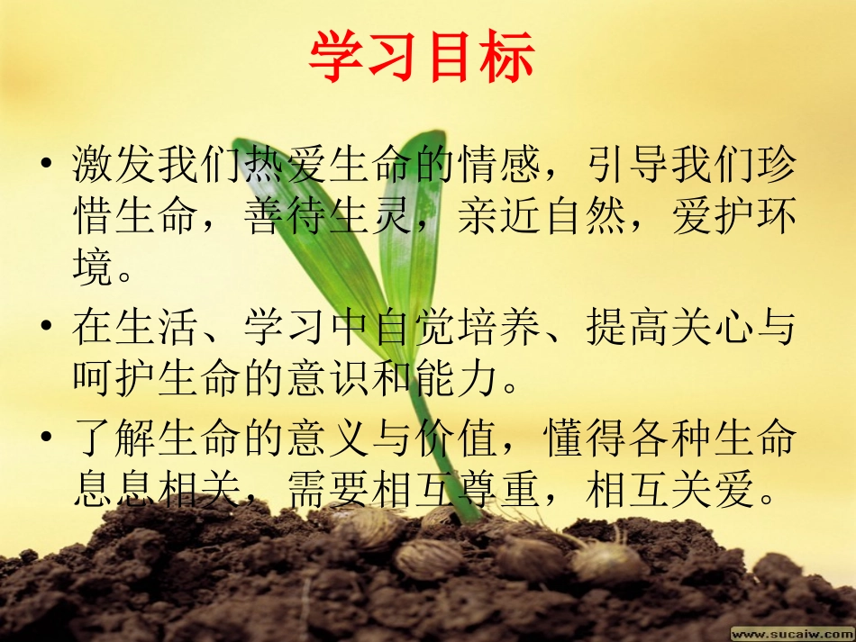 世界因生命而精彩_第3页