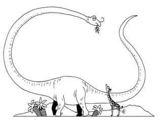 《化石吟》课件[1]