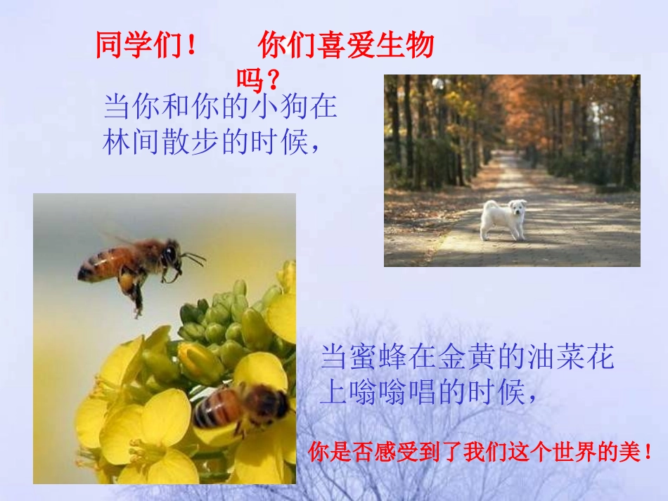 七年级生物致同学们的课件_第3页
