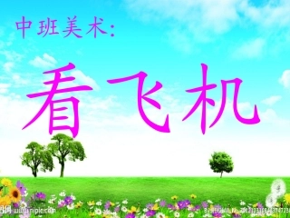 中班美术活动：看飞机