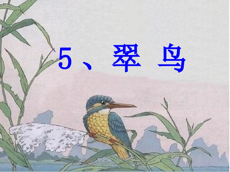 5翠鸟预习课ppt课件_第1页