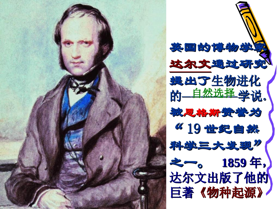 生物进化学说课件_第2页