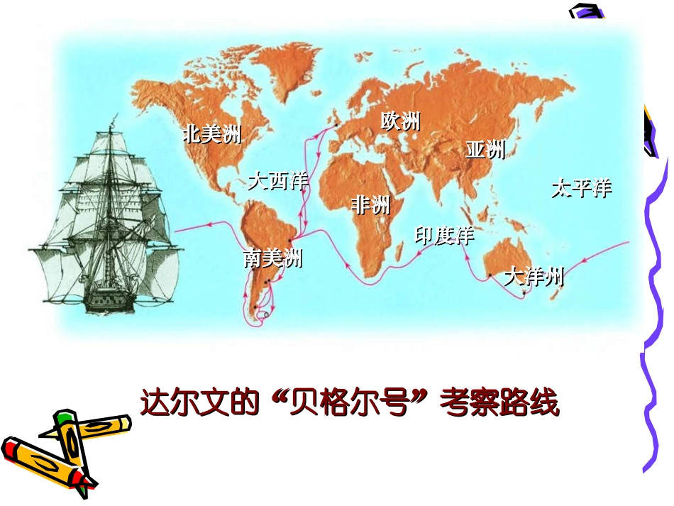 生物进化学说课件_第3页