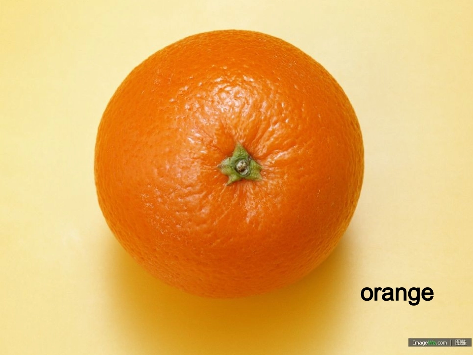 Lesson10Pink-Orange-Purple-Green_第3页