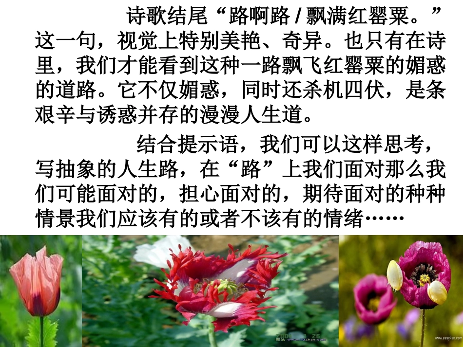 作文《在路上》讲评_第3页