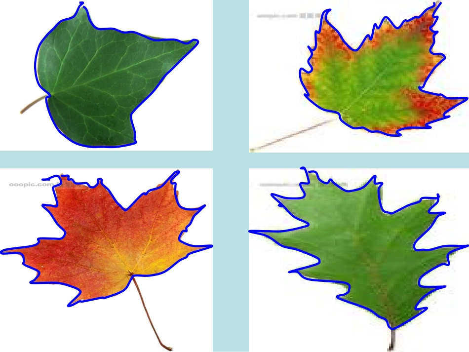 什么是周长-北师大版讲课课件_第2页