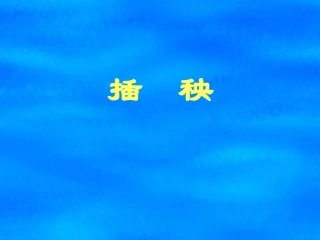 【插秧PPT课件
