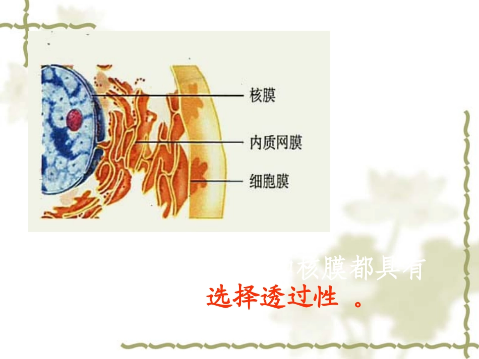 人教版教学课件生物膜的流动镶嵌模型 课件 6_第2页