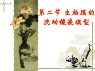 人教版教学课件生物膜的流动镶嵌模型 课件 6