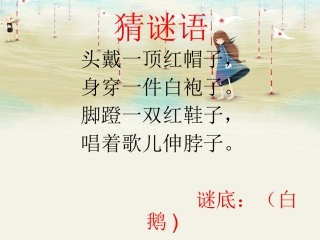 13白鹅-(2)