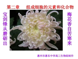 组成细胞的元素和化合物