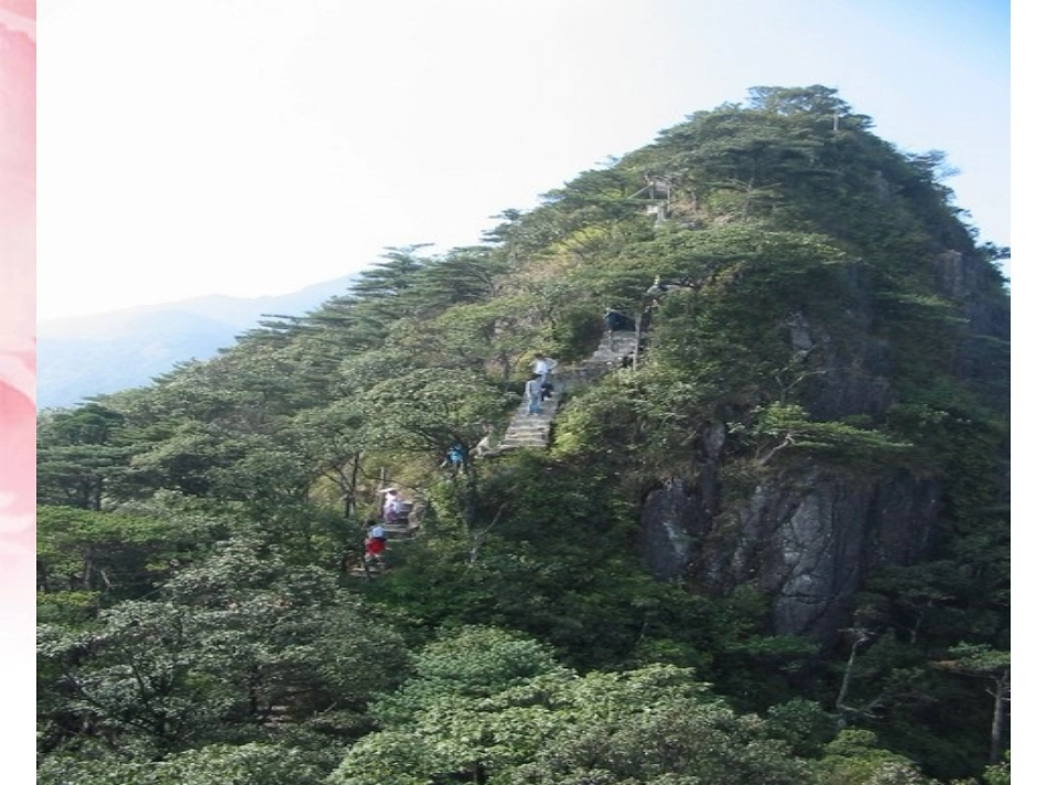 《庐山的云雾》第一课时_第1页