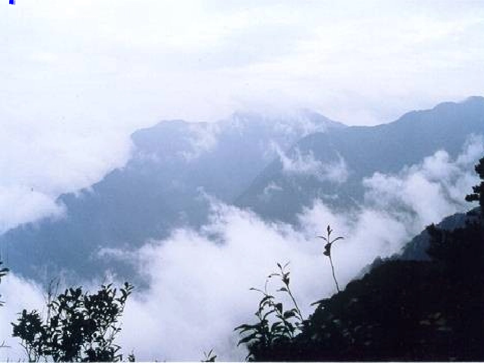 《庐山的云雾》第一课时_第2页