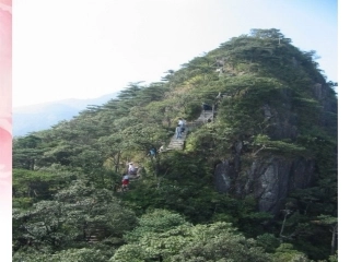 《庐山的云雾》第一课时