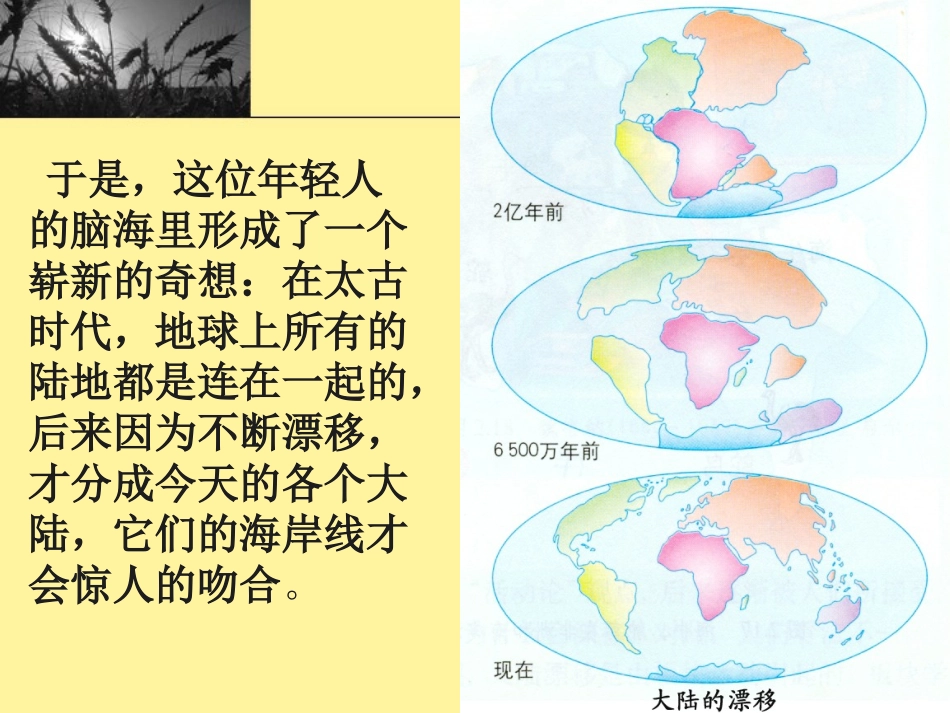 1454世界地图引出的发现_第3页