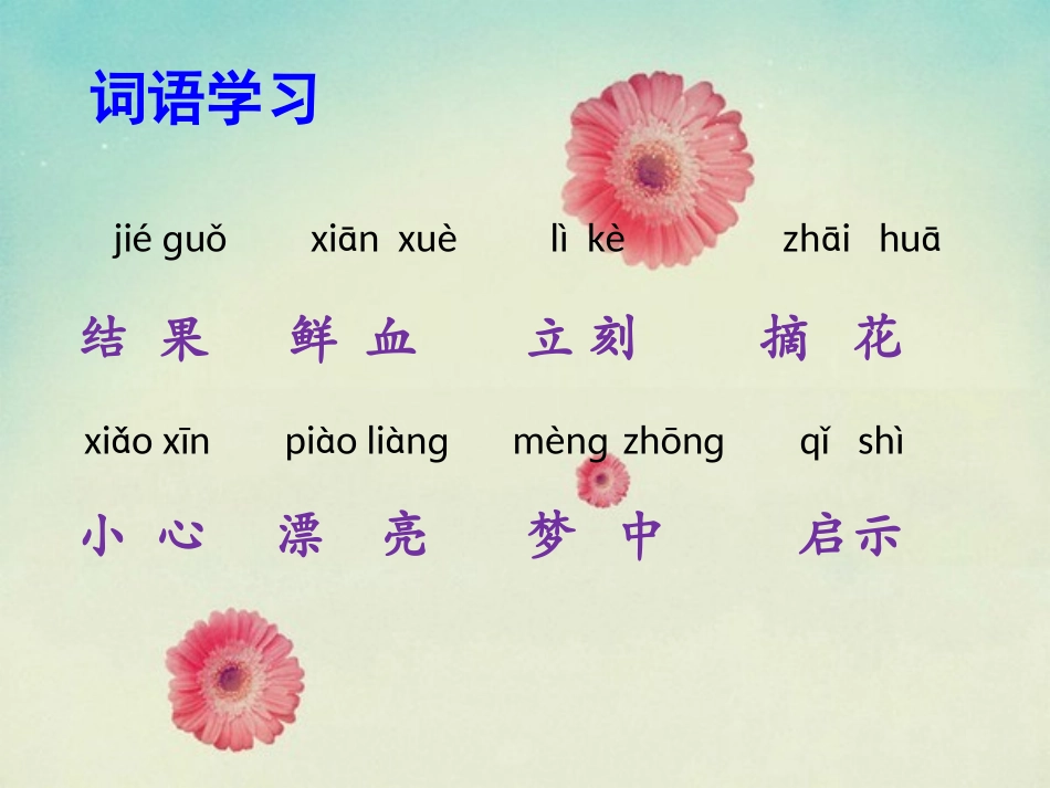 《美丽的花》课件_第3页