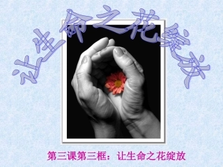第三框让生命之花绽放(1)