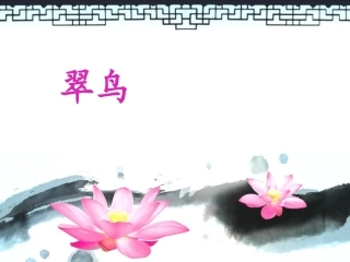 《翠鸟》课件