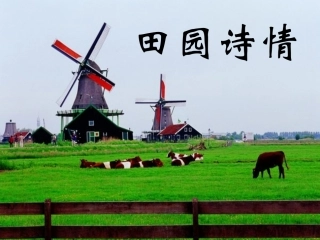 苏教版四上田园诗情课件