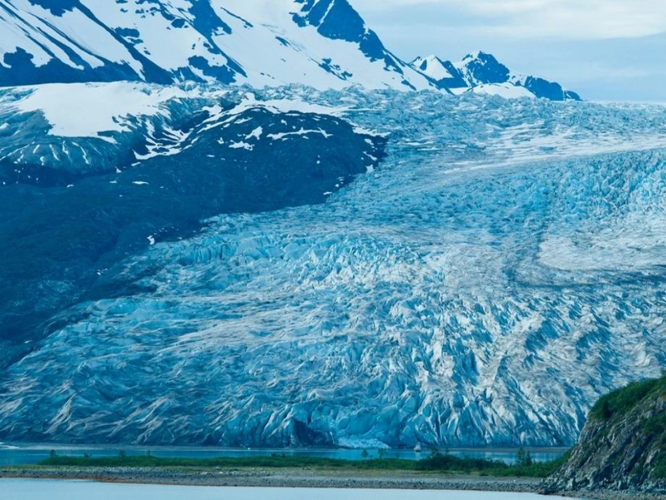 4.喜爱音乐的白鲸_第3页