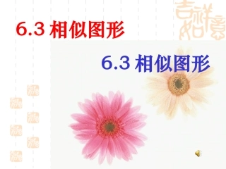 6.3-相似图形.3图形的相似