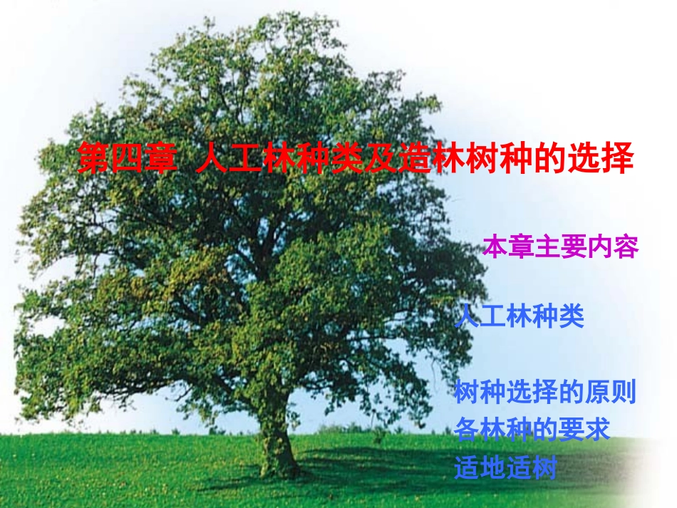 第四章  人工林种类及造林树种的选择_第1页